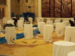 珠海时尚礼仪租赁服务 一站式吧台吧椅出租与文化经纪服务